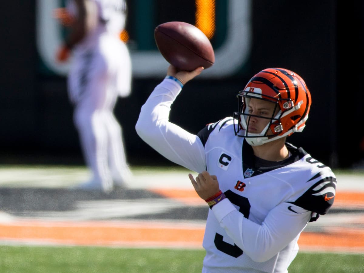 The Best Cincinnati Bengals Tidbits from Elizabeth Blackburn's Reddit AMA  Cincinnati Bengals 2021 Season