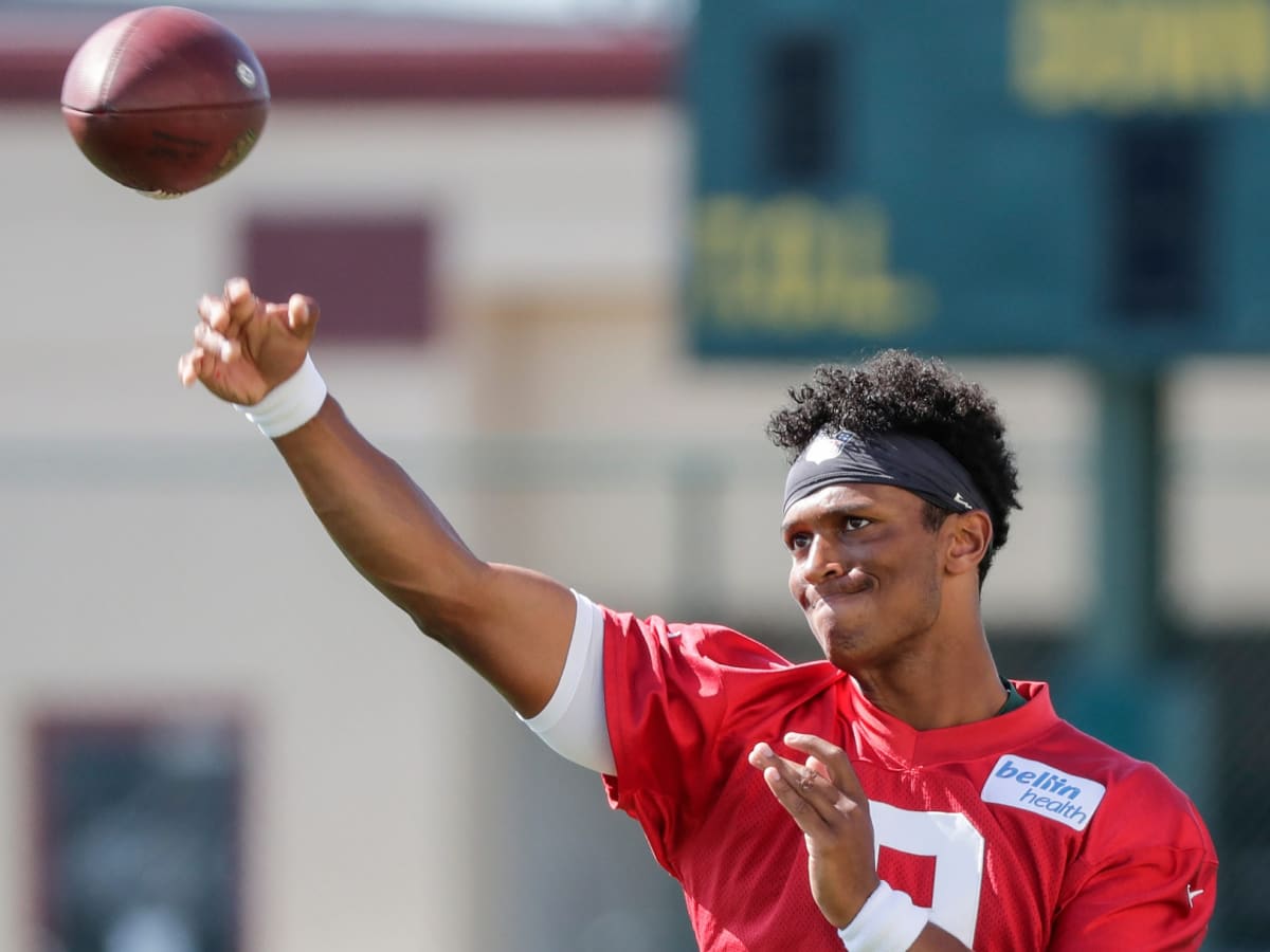 DeShone Kizer Goes It Alone to Learn Tennessee Titans' Offense - Sports  Illustrated Tennessee Titans News, Analysis and More