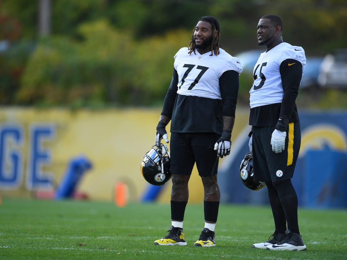 Pittsburgh Steelers Lose Lineman Derwin Gray in Waivers - Sports