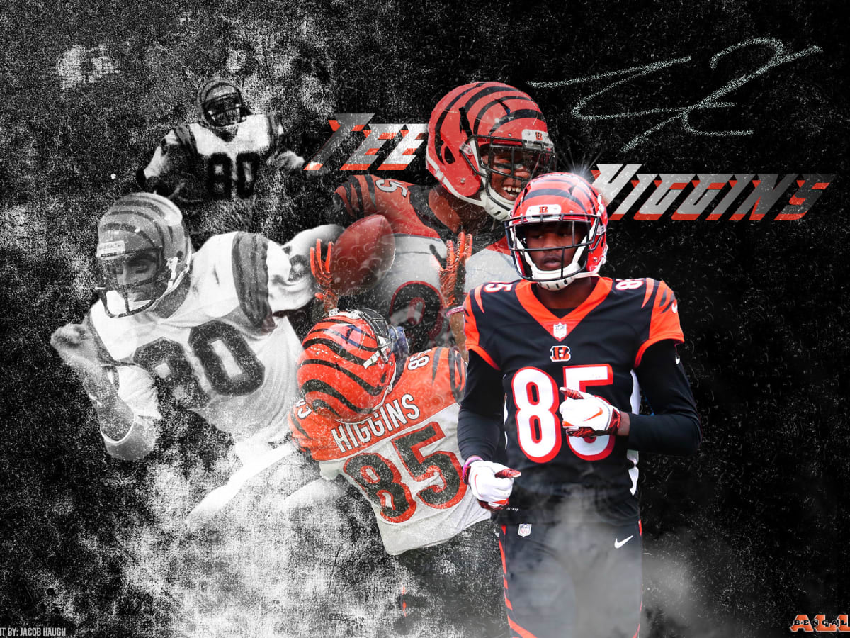 cincinnati bengals t higgins