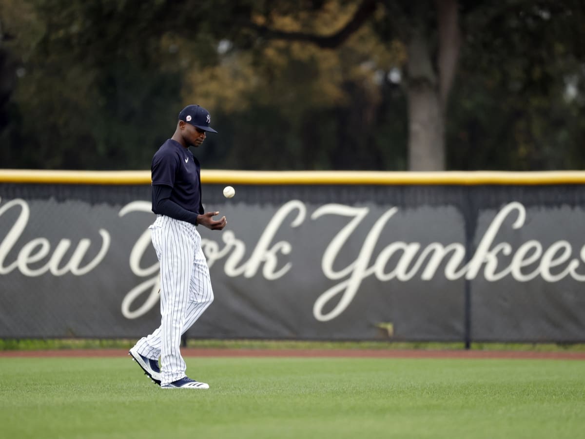 Yankees revel in AL East title while possible suspension for Domingo German  looms