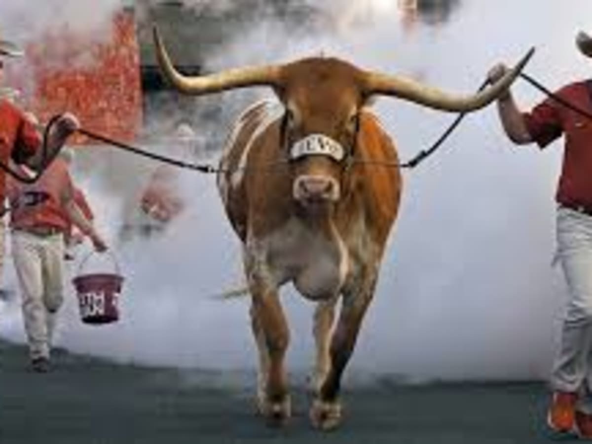 No Bevo: Texas mascot will miss Thanksgiving week game due to