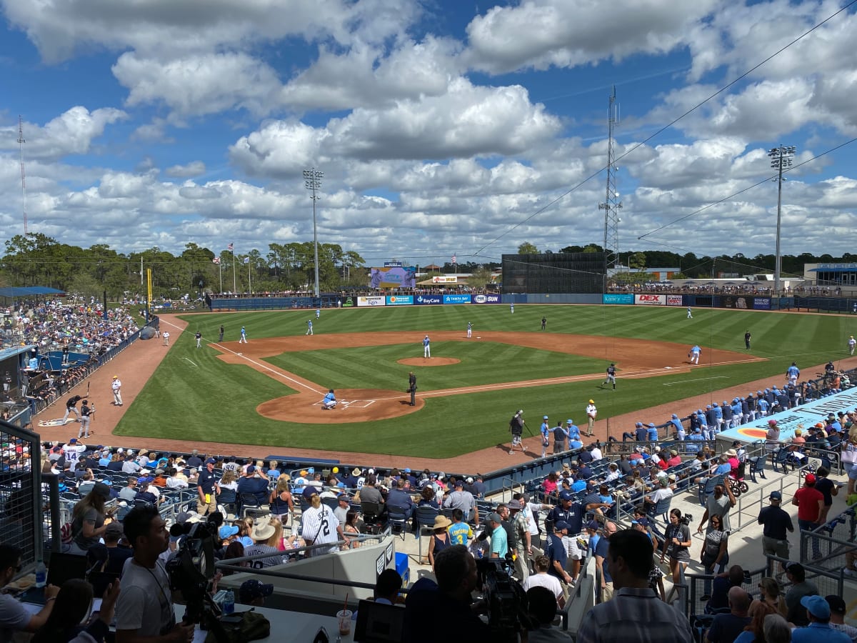 Rays' Yandy Diaz OK after being hit by Yankees' Jonathan Loaisiga