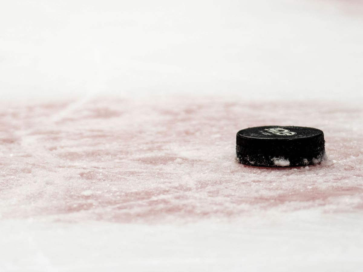 Jax Icemen fans split over team's response after player was suspended for  racist gesture