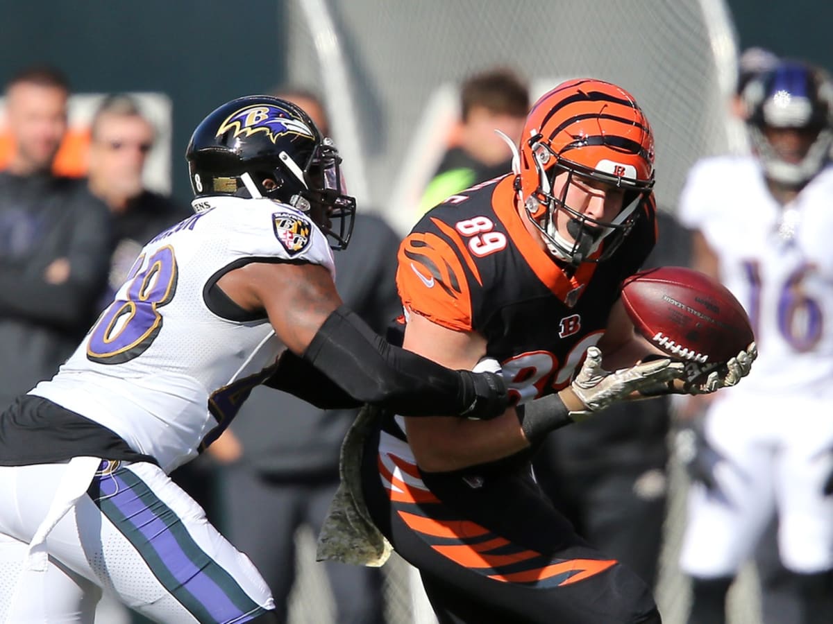 Cincinnati Bengals tight end Drew Sample (89) runs off the field