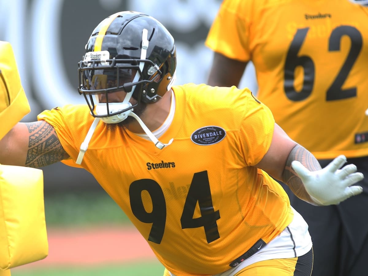 Tyson Alualu Seeing Exciting Things From New Steelers Offensive Line -  Steelers Now