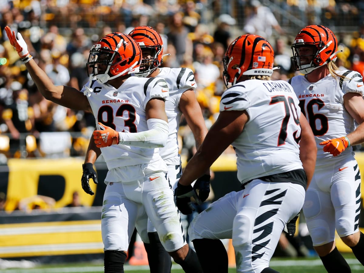 Steelers' struggles evident in 24-10 loss to the Bengals - Behind