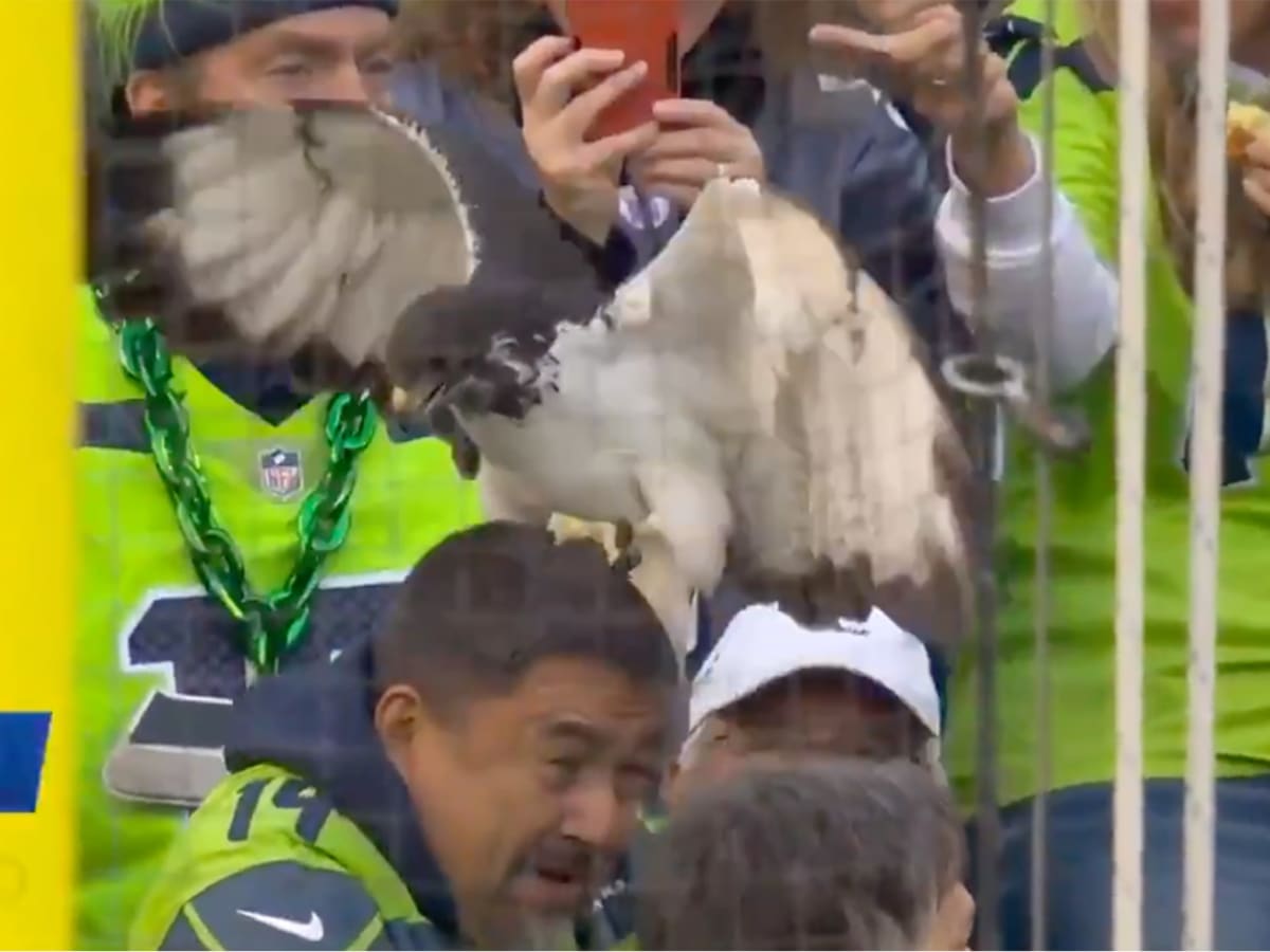 Seahawks fans' head tattoo did not win playoff tickets, begging