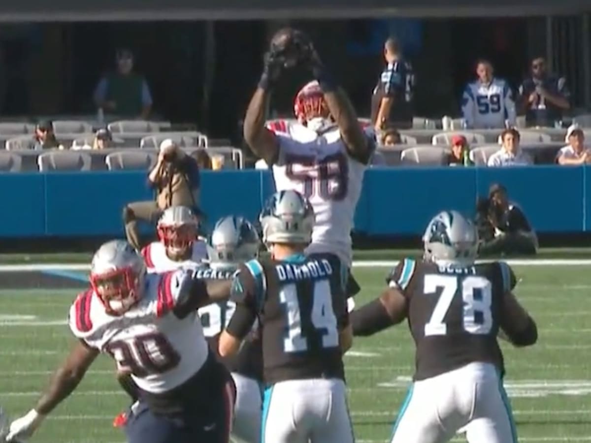 Jamie Collins Stats, News and Video - OLB