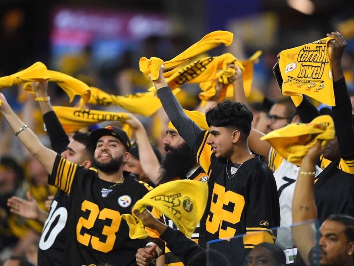 Props to this masked Baltimore Steelers fan sitting next to me in