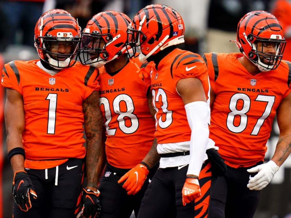 Breaking News: Bengals win AFC North, enter convoluted Playoff Picture 