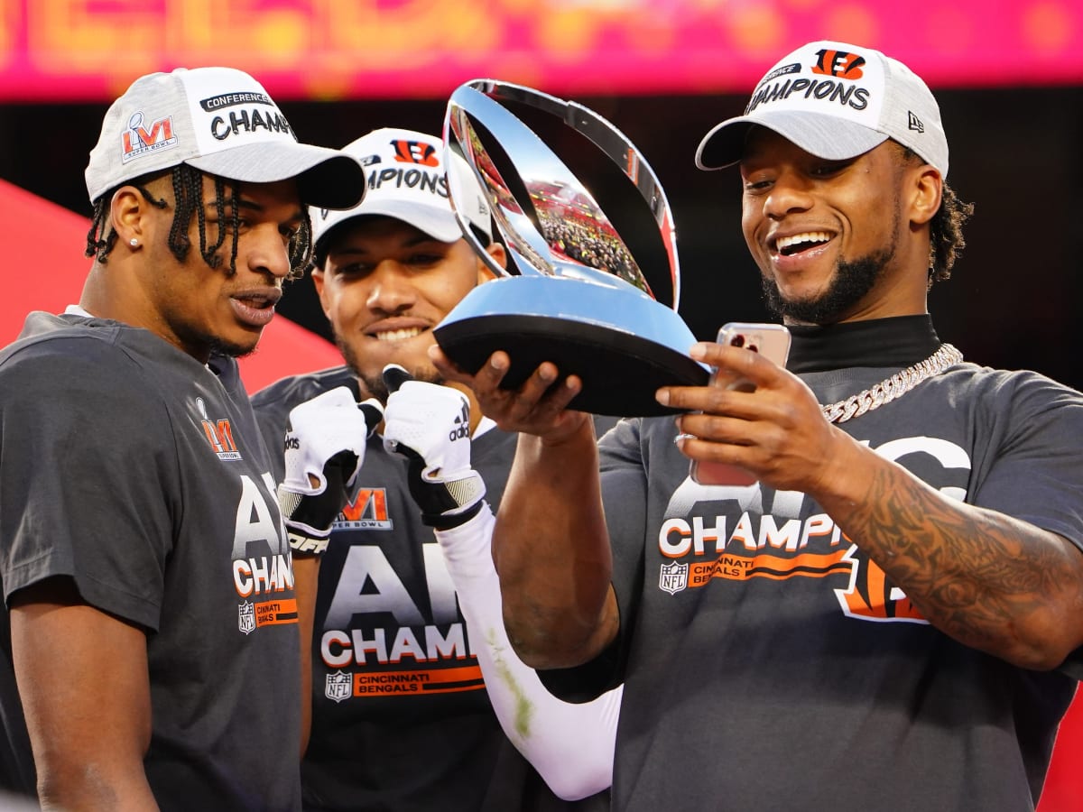 What are the Bengals Super Bowl odds for next season?