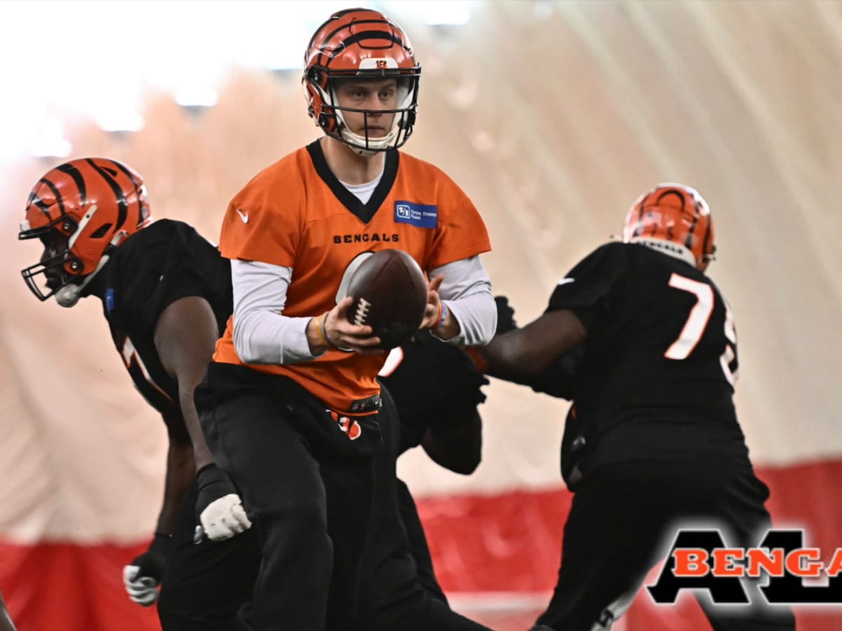 Lou Anarumo Shines Bright in Cincinnati Bengals' Rally to the Super Bowl -  Sports Illustrated Cincinnati Bengals News, Analysis and More