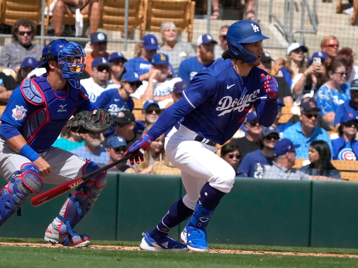 Dodgers 2021 spring training position preview: outfield – Orange County  Register