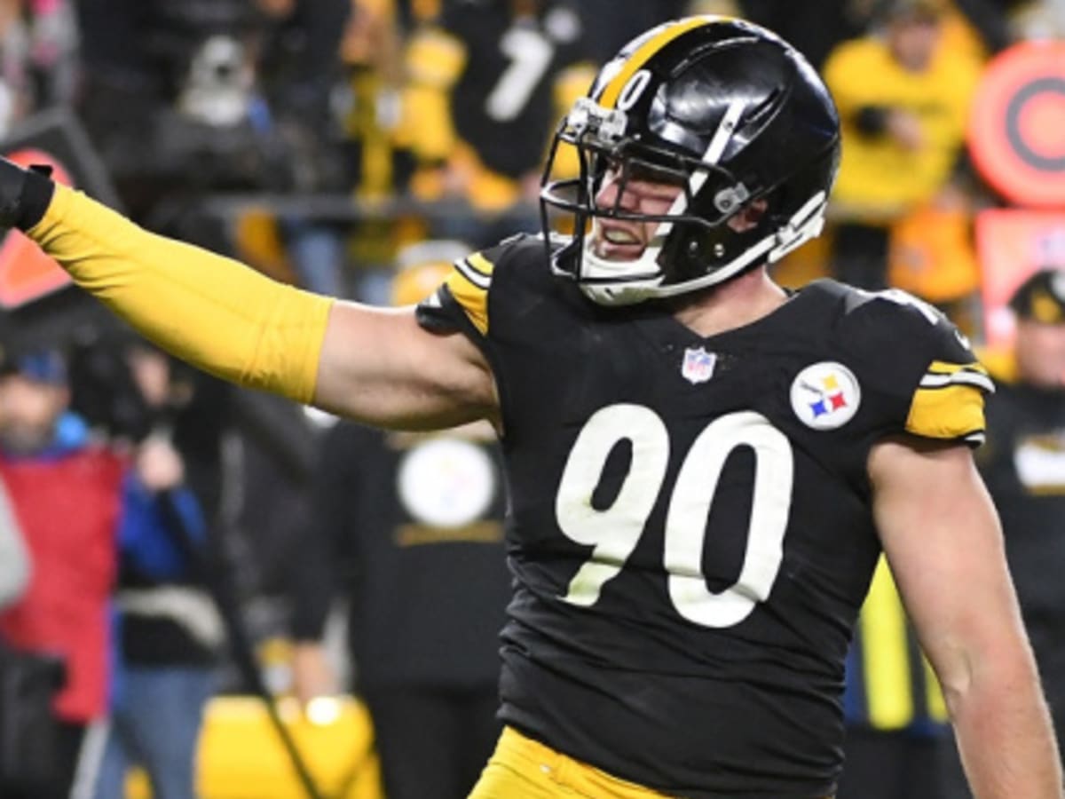 Pittsburgh Steelers OLB T.J. Watt talks about pool plunge: 'I don