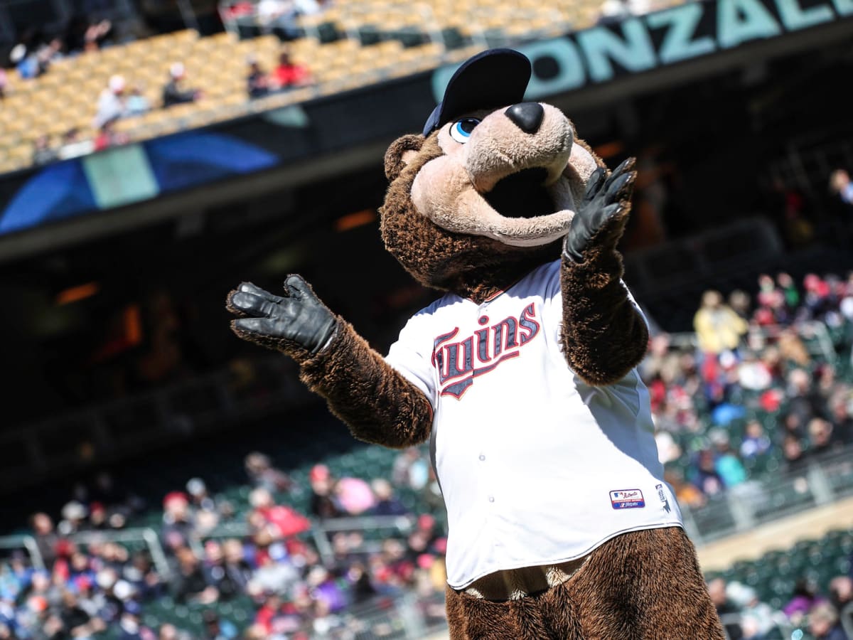 So you want to be T.C. Bear? The Minnesota Twins advertising for a new  mascot