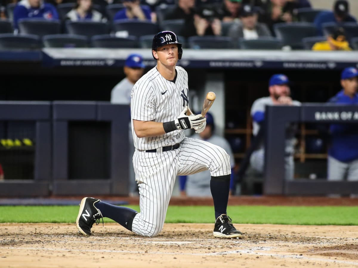 The unwavering calm of DJ LeMahieu, the Yankees' most valuable enigma - The  Athletic