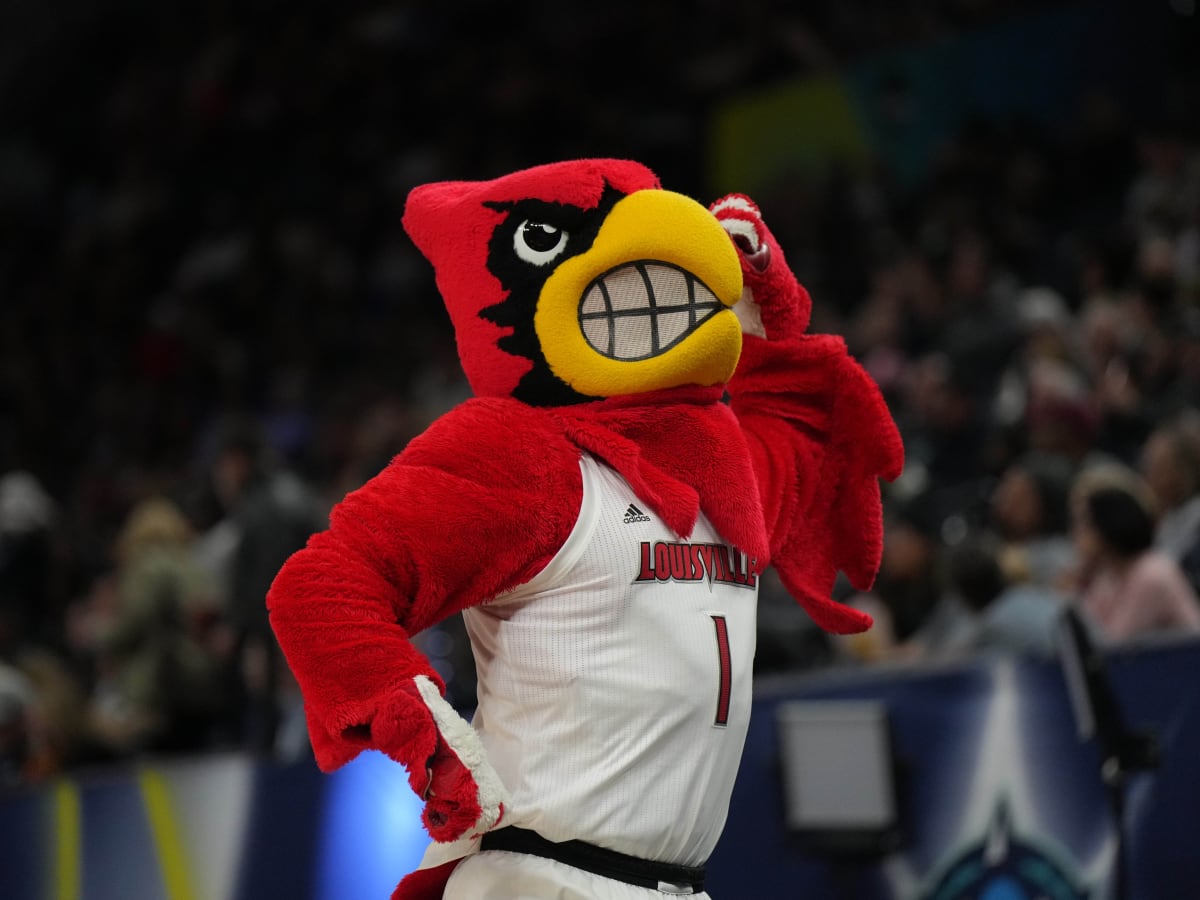 Louisville Cardinals Mascot Long Pet Toy