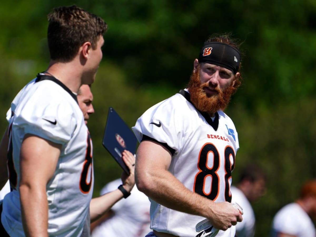 Hayden Hurst Praises Joe Burrow, Believes Cincinnati Bengals Are