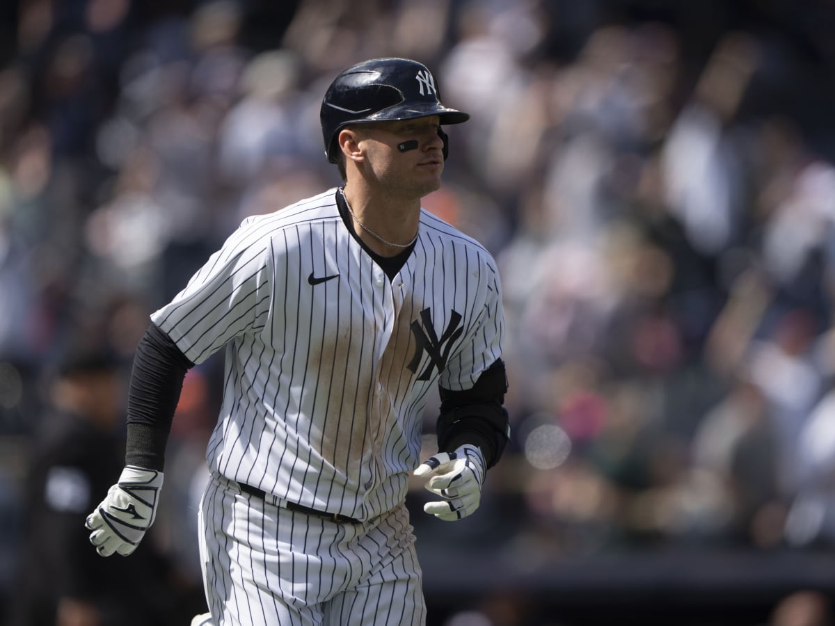 Josh Donaldson New York Yankees Fanatics Authentic Game-Used #28 White  Pinstripe Jersey vs. San Francisco Giants on March 30, 2023