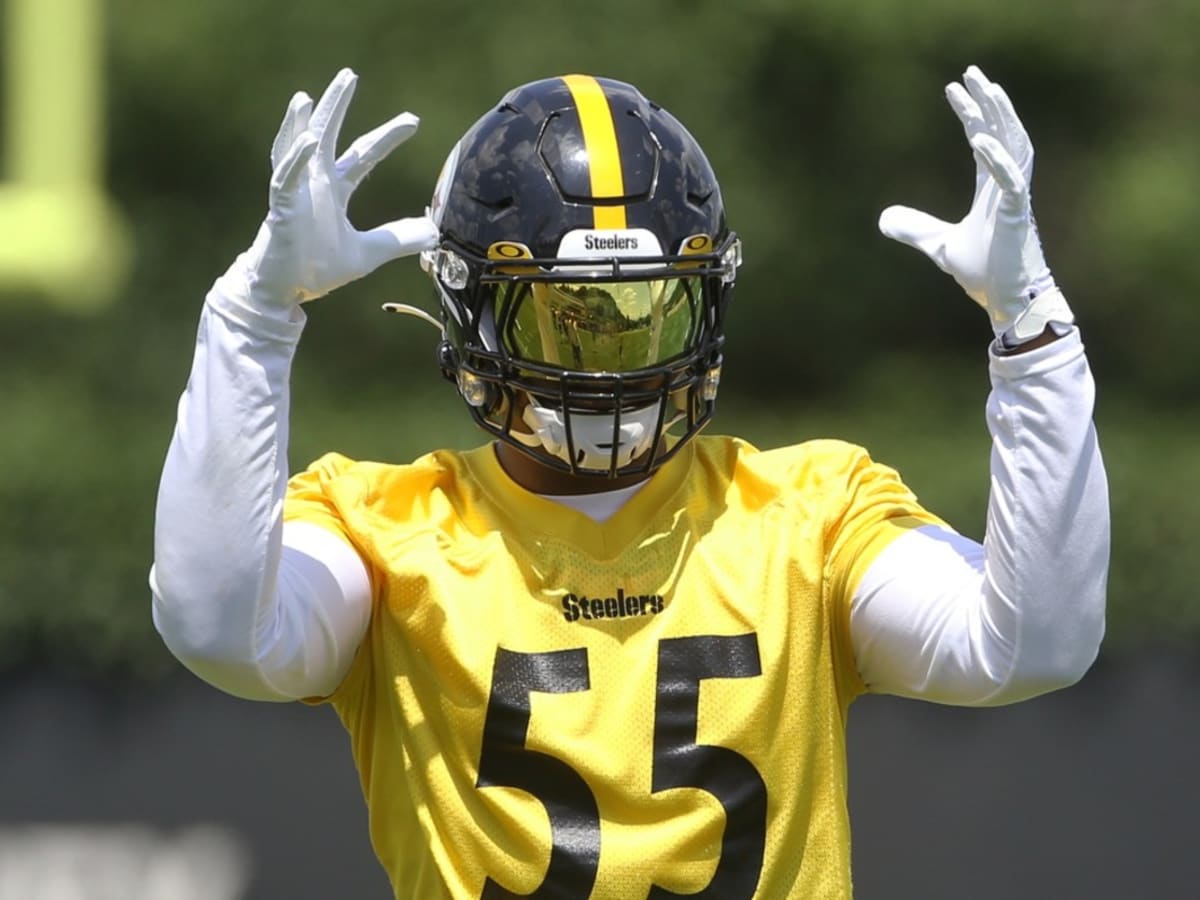 Devin Bush Talks About Pittsburgh Steelers Declining Fifth-Year Option -  Sports Illustrated Pittsburgh Steelers News, Analysis and More