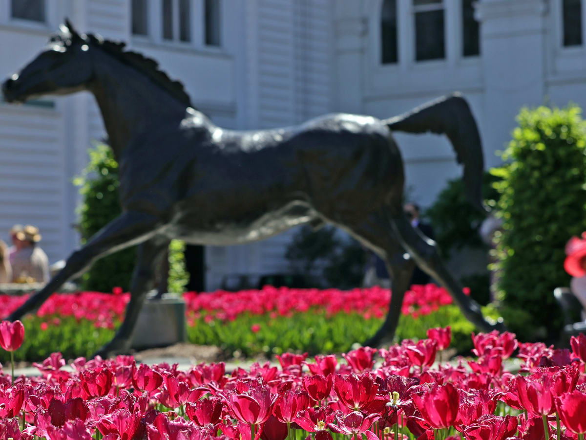 Kentucky Derby: Mattress Mack to place seven-figure wager, Betting