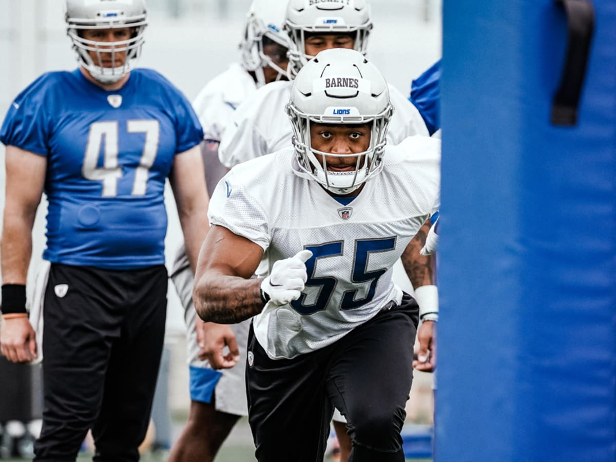 Patriots to sign ex-Lions LB Jahlani Tavai to their practice squad