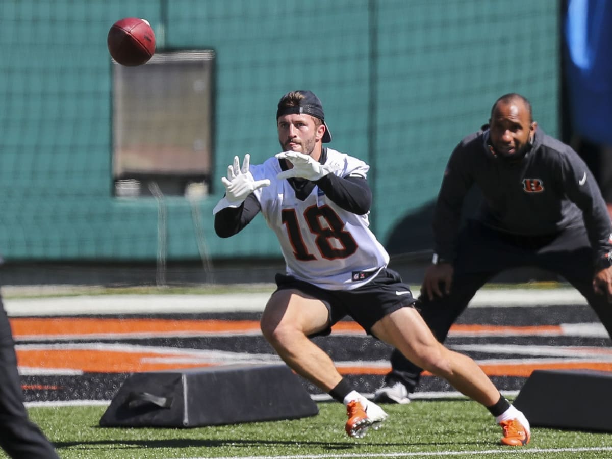 Photo: Bengals Trent Taylor makes the catch under pressure - KYP20221106026  