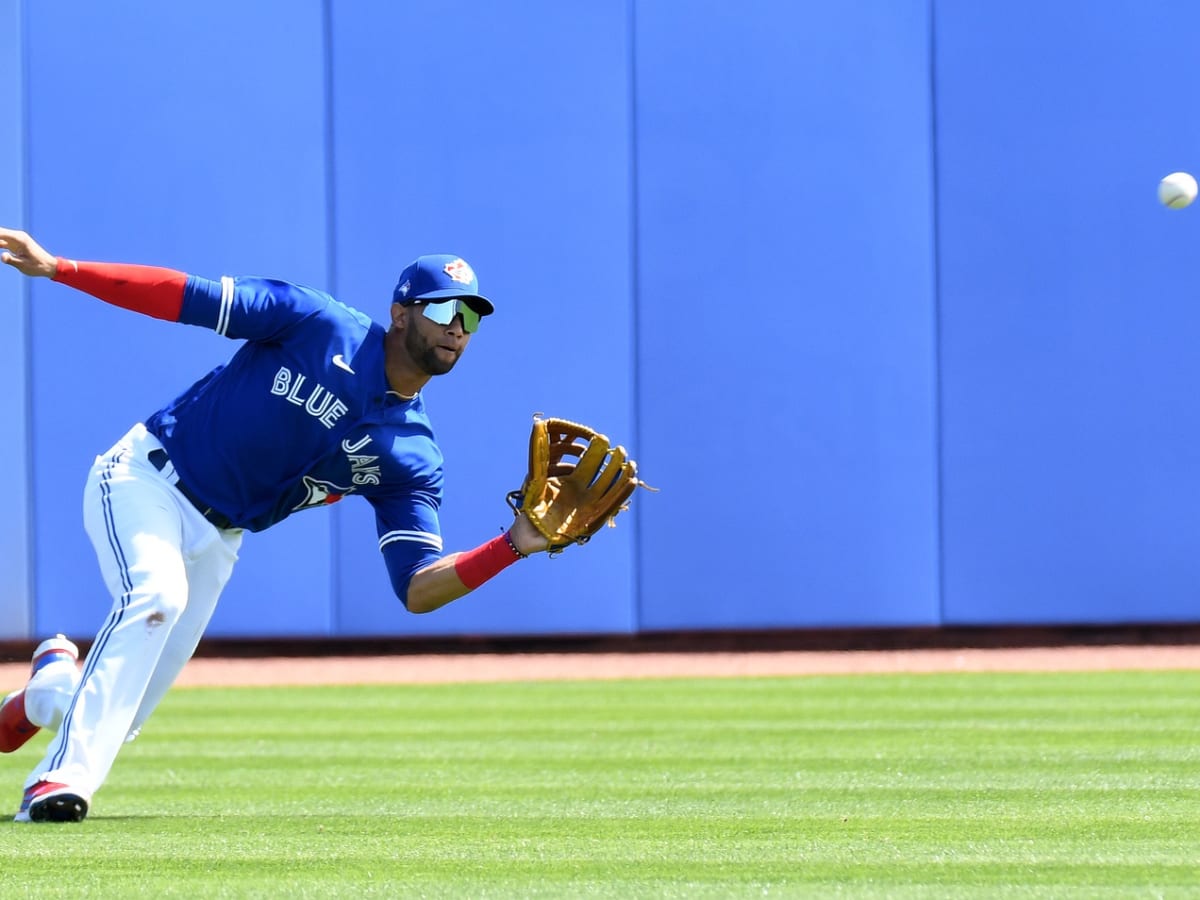 Toronto Blue Jays in DUNEDIN!, TD Ballpark, Rays vs Blue Jays