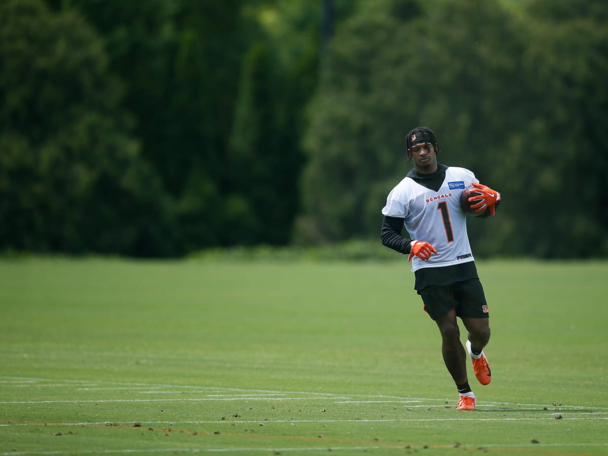 Cincinnati Bengals' Ja'Marr Chase, Joe Burrow Nab Offensive Rookie of the  Year, Comeback of the Year, Sports & Recreation, Cincinnati