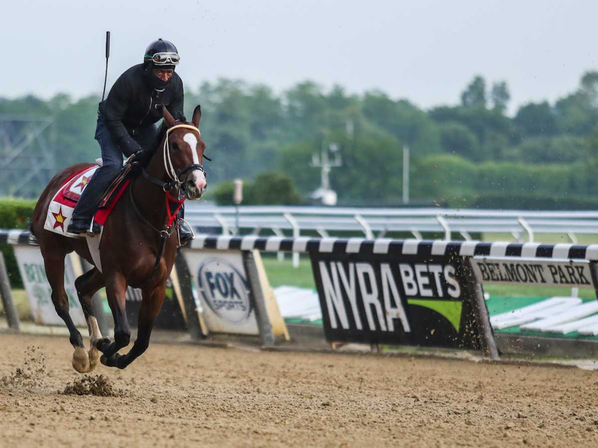 2021 Belmont Stakes Betting Breakdown Analysis And Best Bets Sports Illustrated