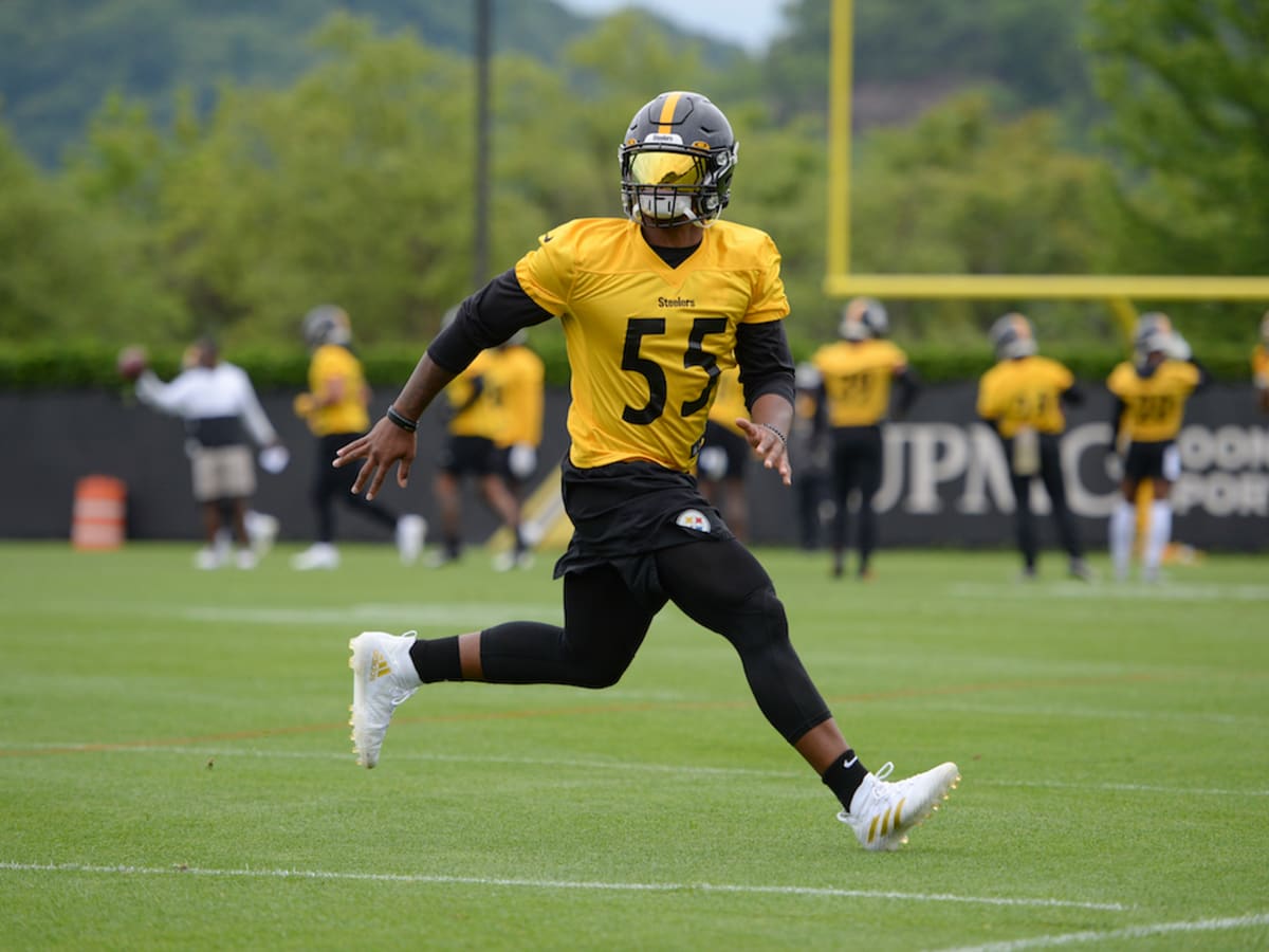 Zach Banner, Devin Bush make appearance on field during Steelers