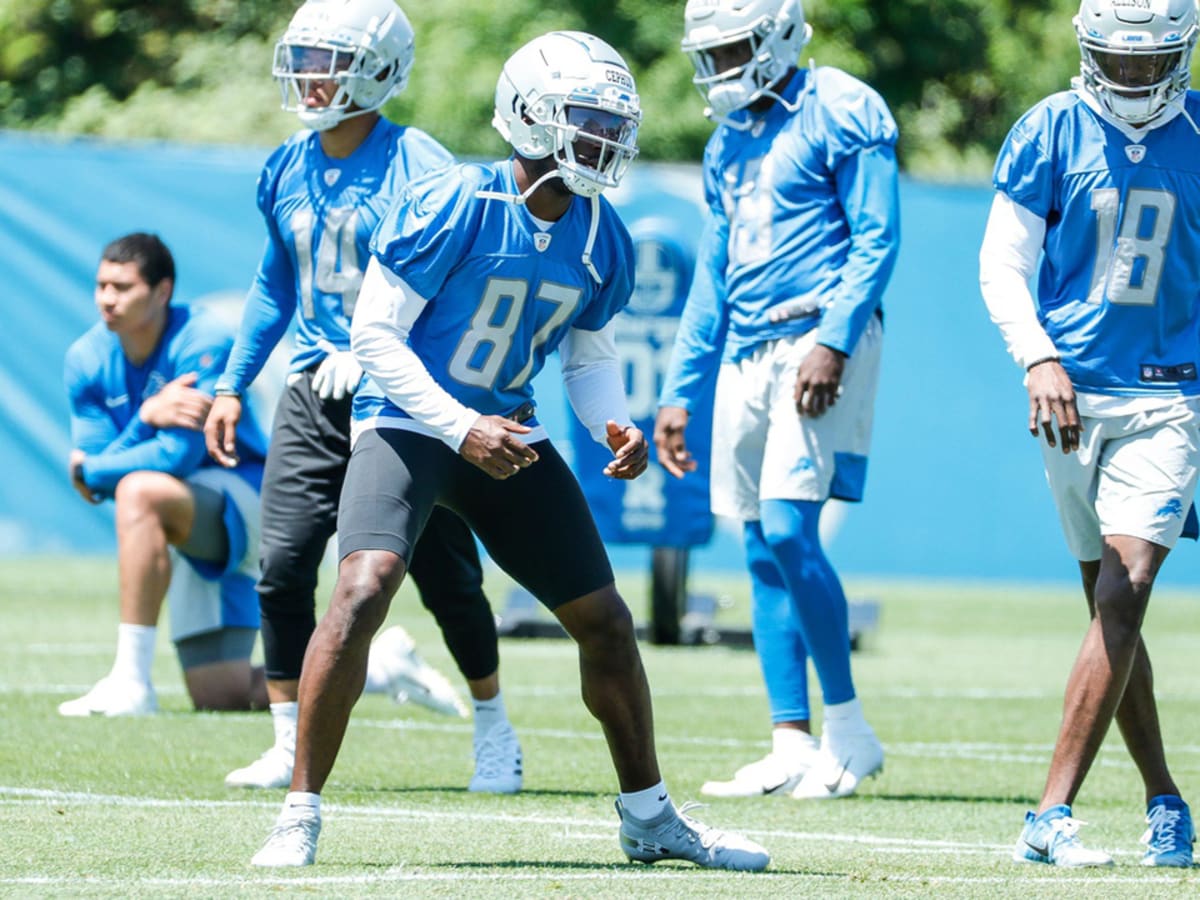 Daily DLP: Detroit Lions Roster Battles