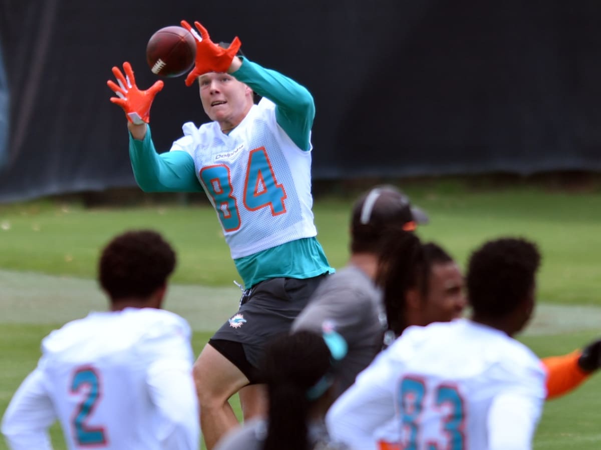 Miami Dolphins tight end Hunter Long (84) walks on the sidelines