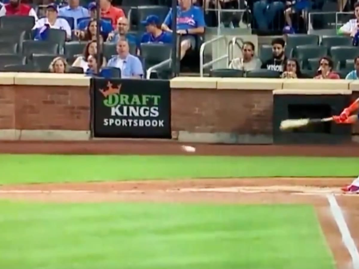 Birds interrupt Japanese baseball game (video) - Sports Illustrated