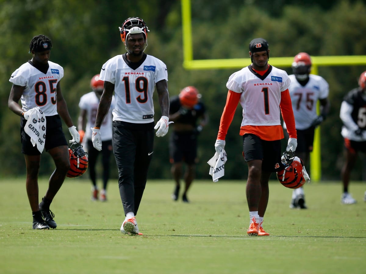 Cincinnati Bengals: Tee Higgins' injury gives Auden Tate a chance