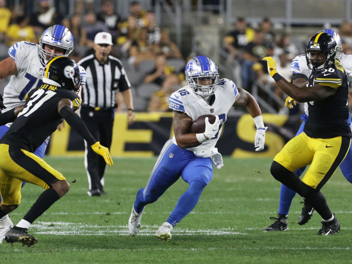 Detroit Lions running back Craig Reynolds (13) looks on against