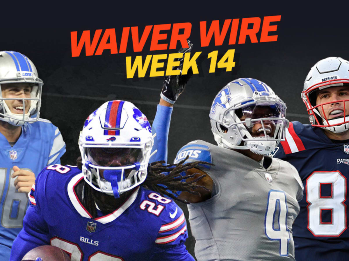 Week 14 Fantasy Waiver Wire Rankings 2022 - Wolf Sports