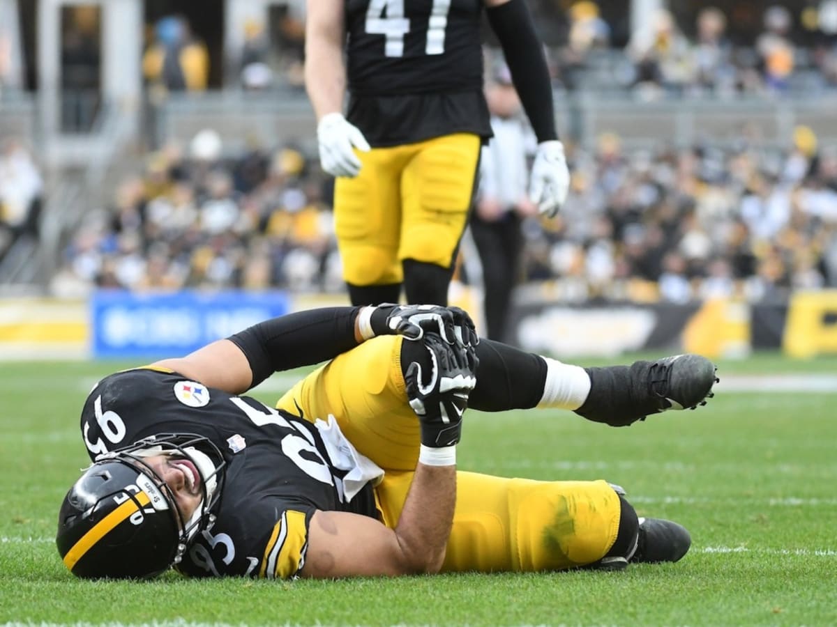 Pittsburgh Steelers Dealing With Two Injuries, Chris Wormley