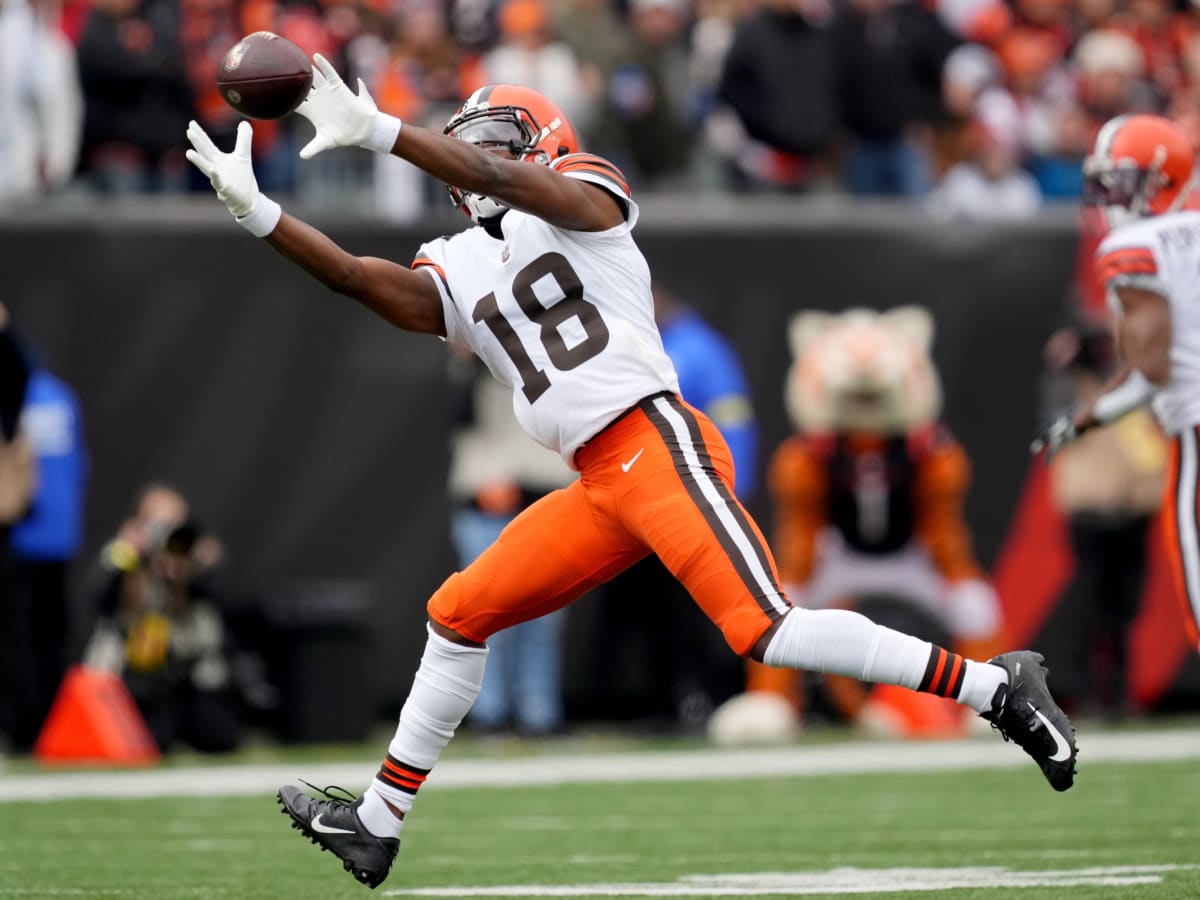 Cleveland Browns wide receiver David Bell takes part in drills at the NFL  football team's practice facility Tuesday, June 6, 2023, in Berea, Ohio.  (AP Photo/Ron Schwane Stock Photo - Alamy