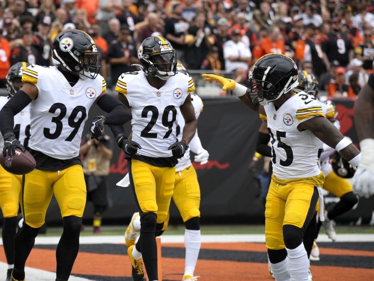 Much-maligned Steelers run defense stands tall against Panthers