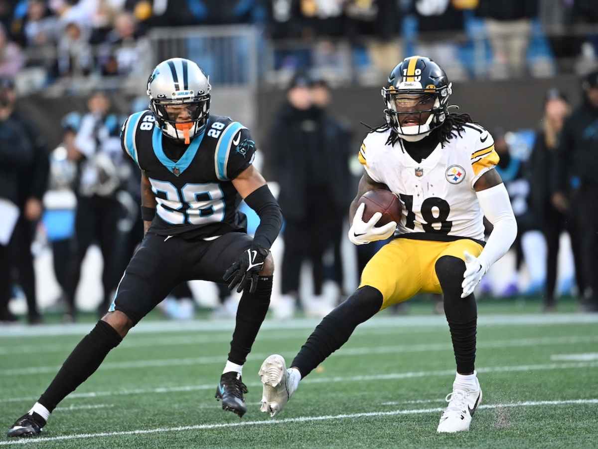 Pittsburgh Steelers tame Panthers to tighten grip on AFC North