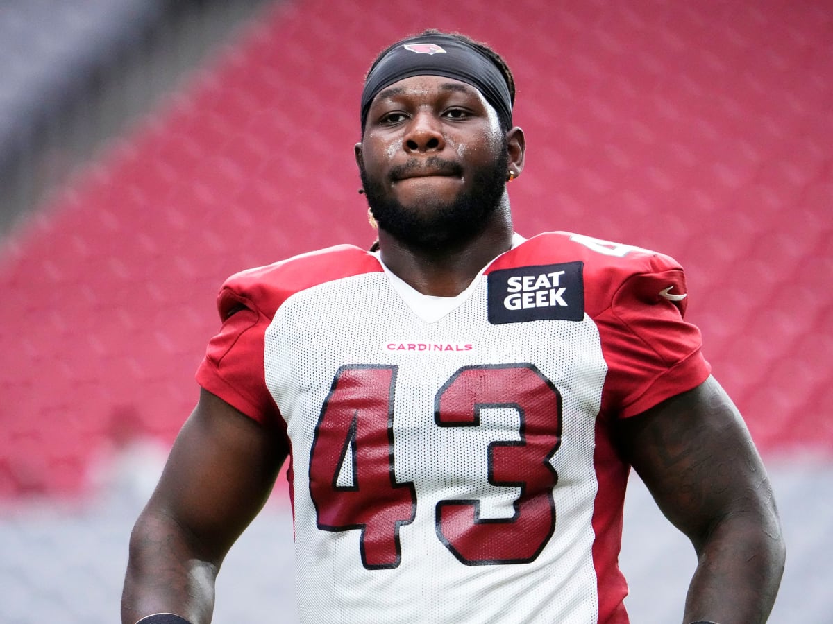 Arizona Cardinals rookie Jesse Luketa (43) participates during the team's  NFL football practice, Thursday, June 9, 2022, in Tempe, Ariz. (AP  Photo/Matt York Stock Photo - Alamy