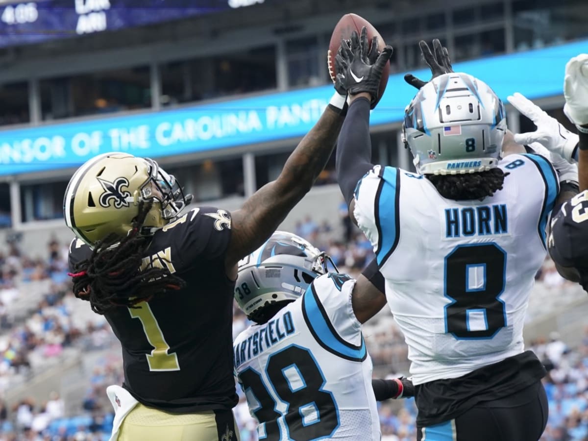 Panthers Twitter Reacts to 22-14 Win Over the Saints