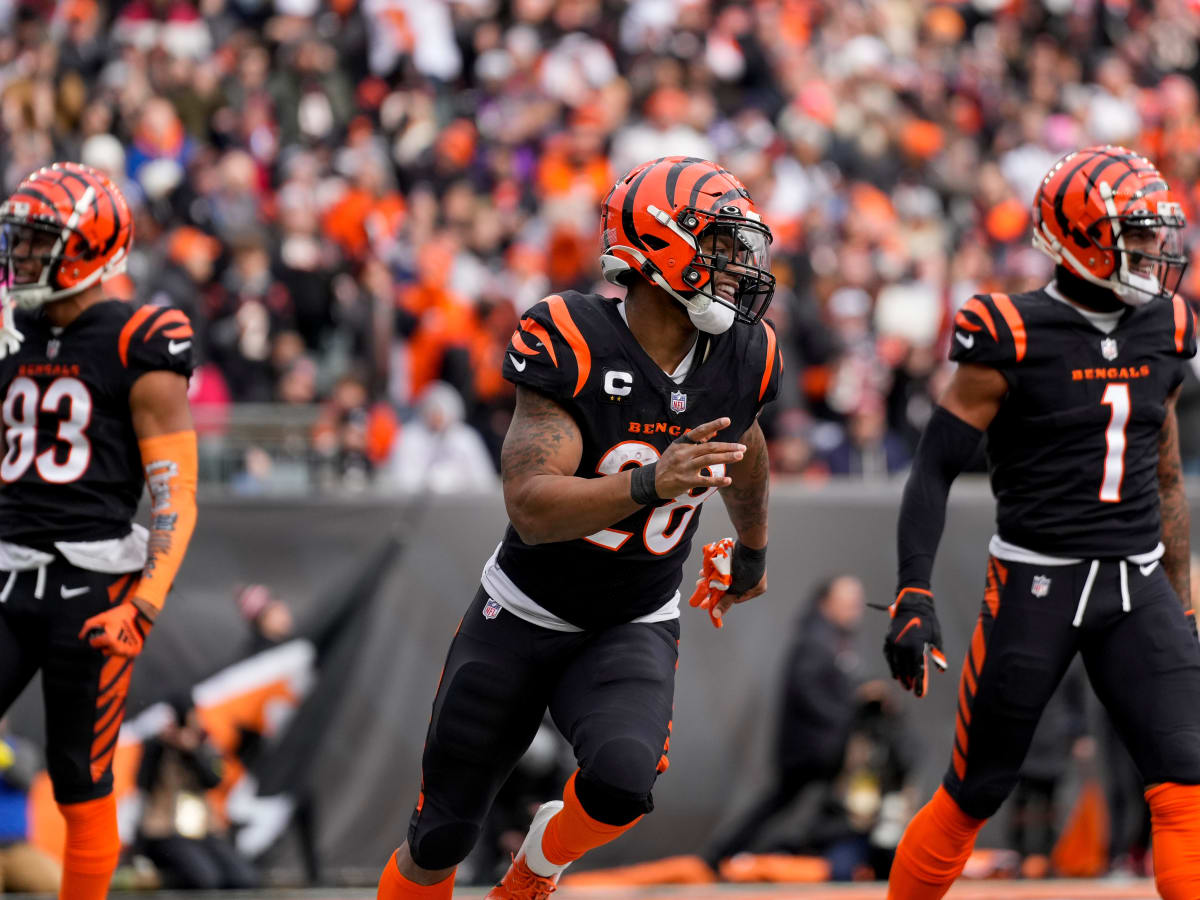 Bengals: Joe Mixon, Jonah Williams situations detailed by ESPN