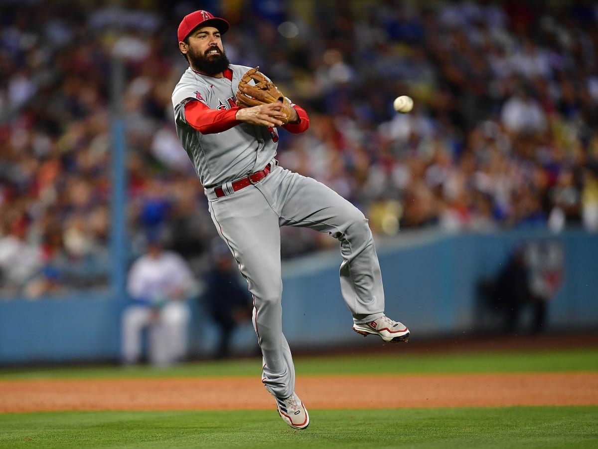 MLB investigating purported Anthony Rendon scuffle with fan - The