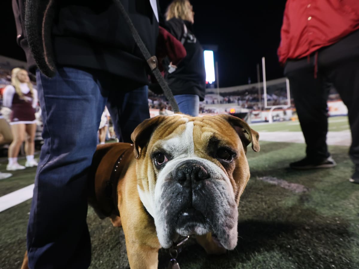 Mississippi State football: 5 swing games in Bulldogs' 2023 schedule