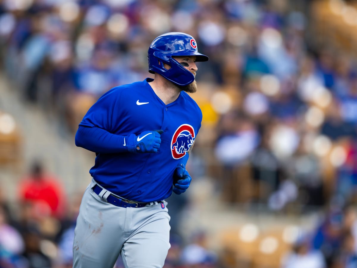 The Chicago Cubs Have Designated Catcher Tucker Barnhart for Assignment -  Bleacher Nation