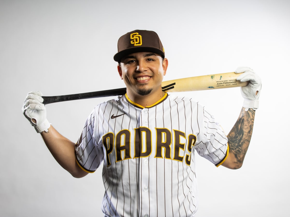 Padres have legion of fresh faces for 2015 Spring Training