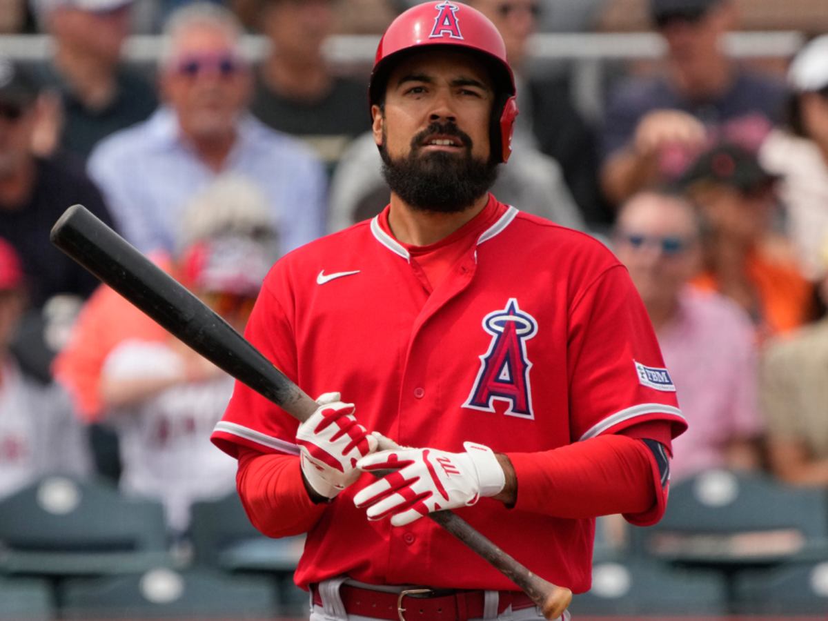 MLB investigating altercation between Los Angeles Angels' Anthony Rendon  and fan